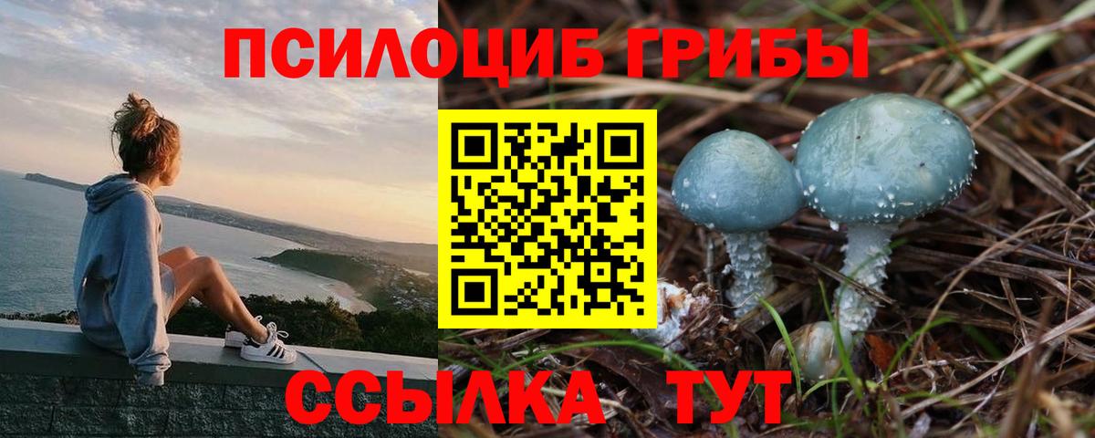 Сергиев Посад  Галлюциногенные грибы GOLDEN TEACHER  Вход с VPN 
