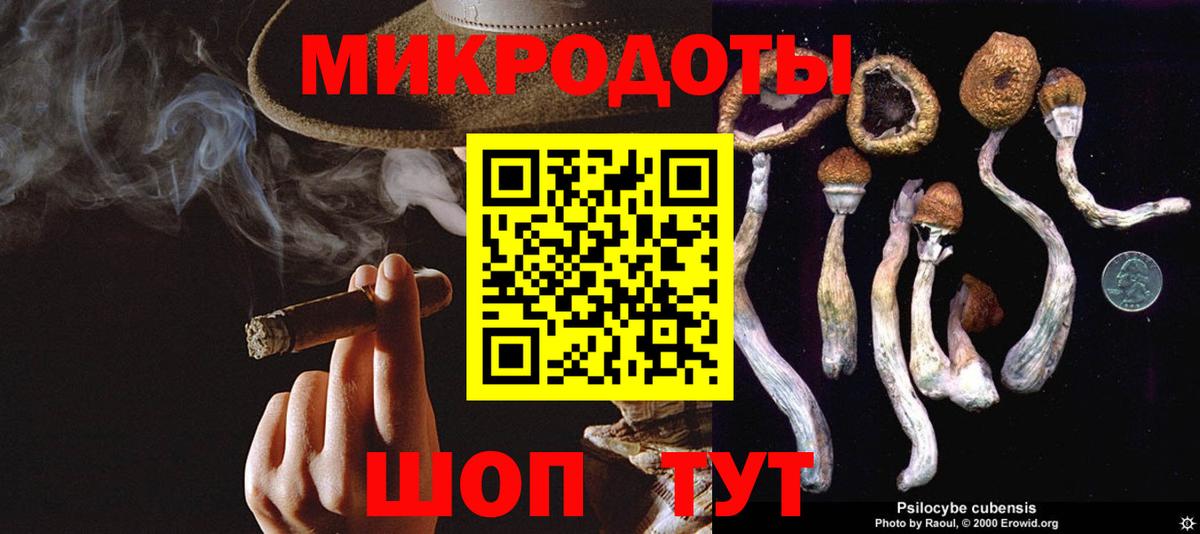 Галлюциногенные грибы MAGIC MUSHROOMS Сергиев Посад